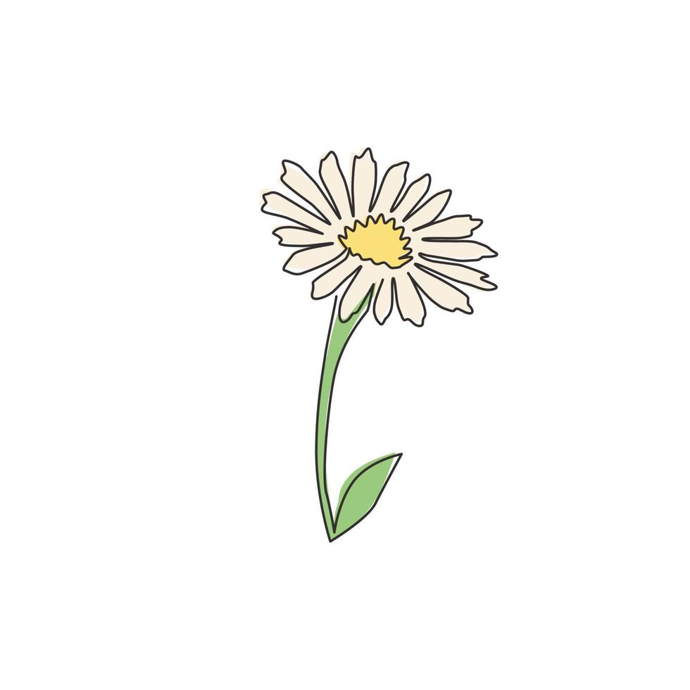 enkele doorlopende lijntekening van schoonheid verse bellis perennis voor thuis muur decor poster art. afdrukbaar decoratief gemeenschappelijk madeliefjebloemconcept. moderne één lijn tekenen grafisch ontwerp vectorillustratie vector