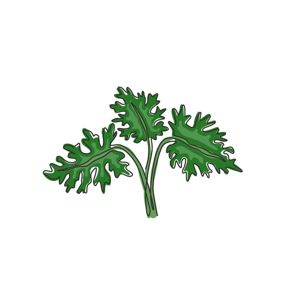 een enkele lijntekening tropische bladplant. afdrukbare decoratieve philodendron selloum kamerplant concept voor thuis muur decor ornament. moderne ononderbroken lijn grafisch tekenen ontwerp vectorillustratie vector
