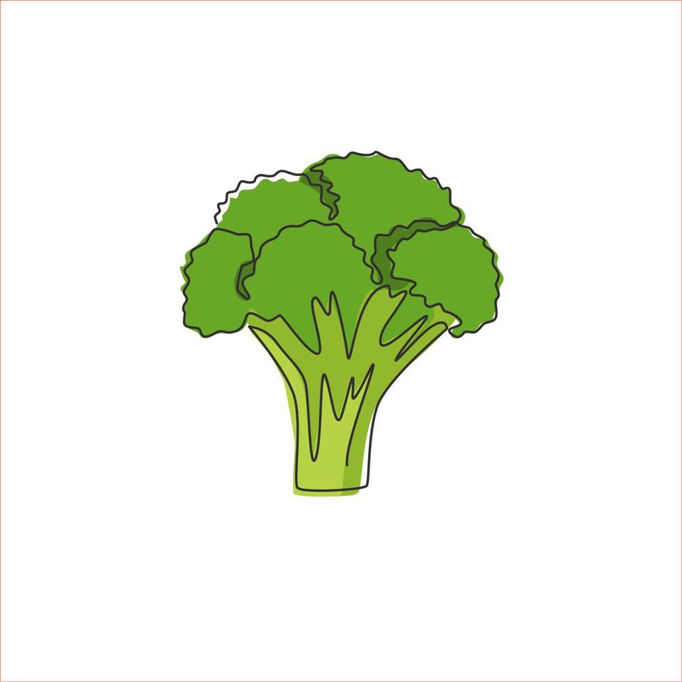 enkele doorlopende lijntekening hele gezonde biologische groene broccoli voor de identiteit van het boerderijlogo. vers eetbaar groen plantconcept voor groentepictogram. moderne één lijn tekenen ontwerp grafische vectorillustratie vector