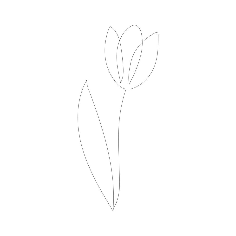 tulp bloem met een doorlopend lijn vector