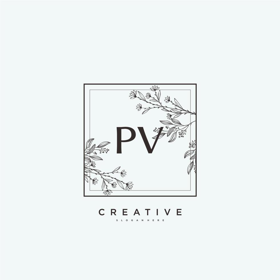 pv schoonheid vector eerste logo kunst, handschrift logo van eerste handtekening, bruiloft, mode, juwelen, boetiek, bloemen en botanisch met creatief sjabloon voor ieder bedrijf of bedrijf.