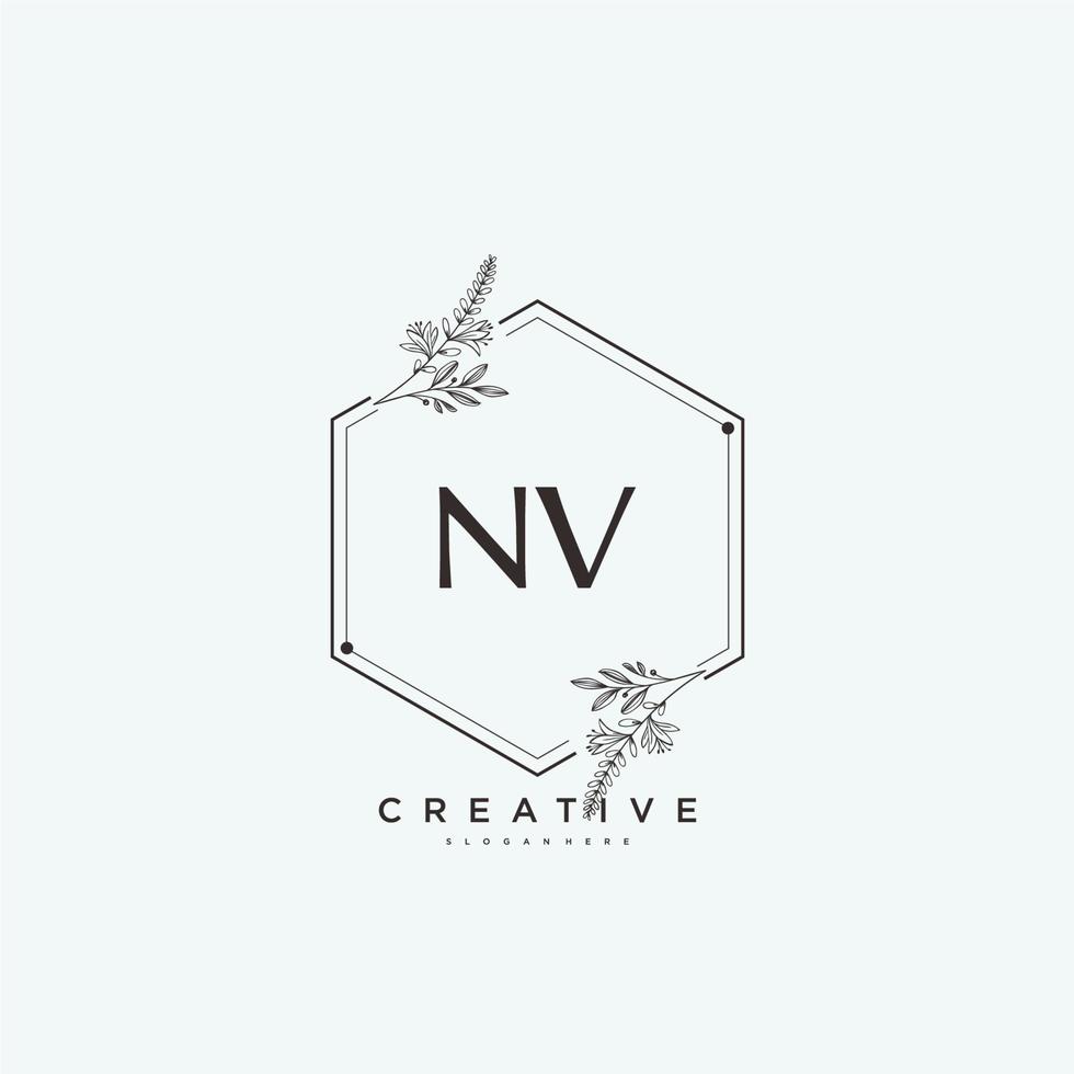 nv schoonheid vector eerste logo kunst, handschrift logo van eerste handtekening, bruiloft, mode, juwelen, boetiek, bloemen en botanisch met creatief sjabloon voor ieder bedrijf of bedrijf.