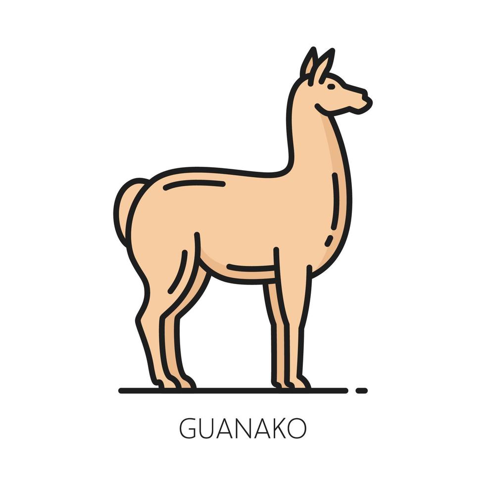 guanako klein paard van Argentinië, lama dier vector