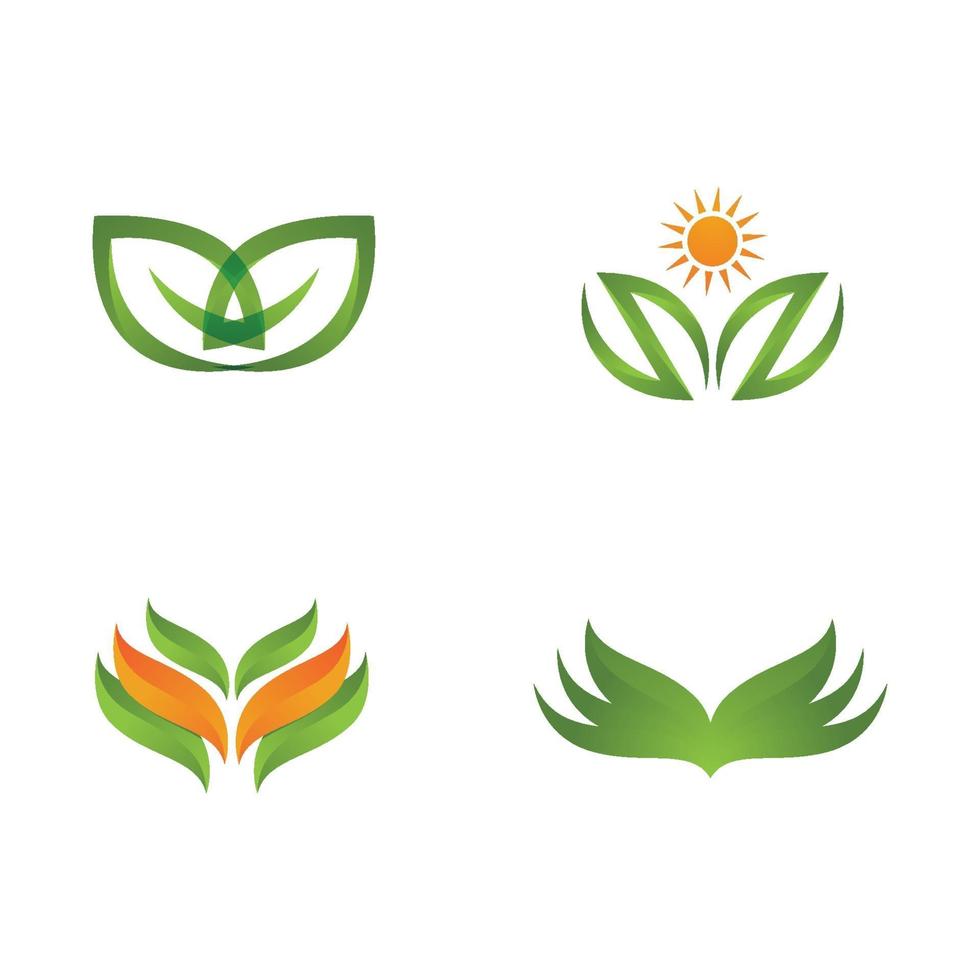 logo's van groene boom blad ecologie vector