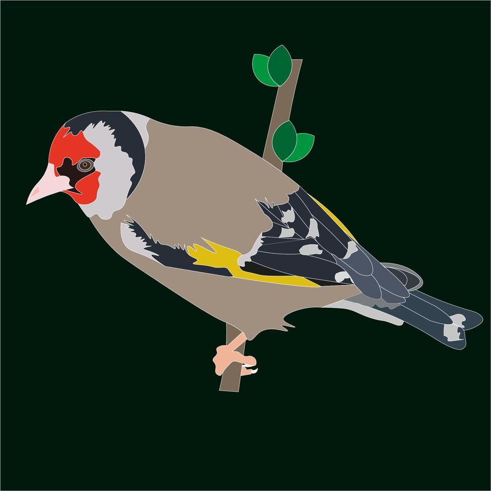 illustratie de distelvink is een klein passerine vogel inheems naar Europa vector