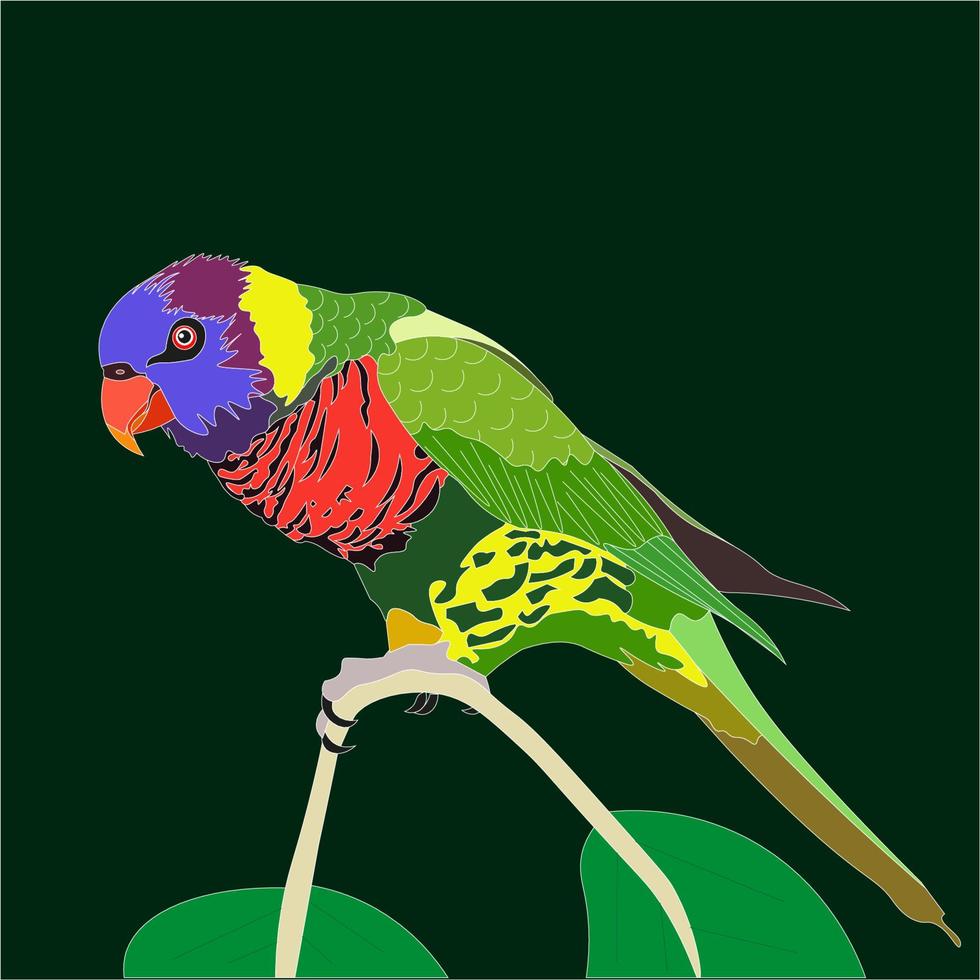 illustratie de regenboog lori is een soorten van papegaai dat is algemeen gevonden Aan de Australisch continent. vector