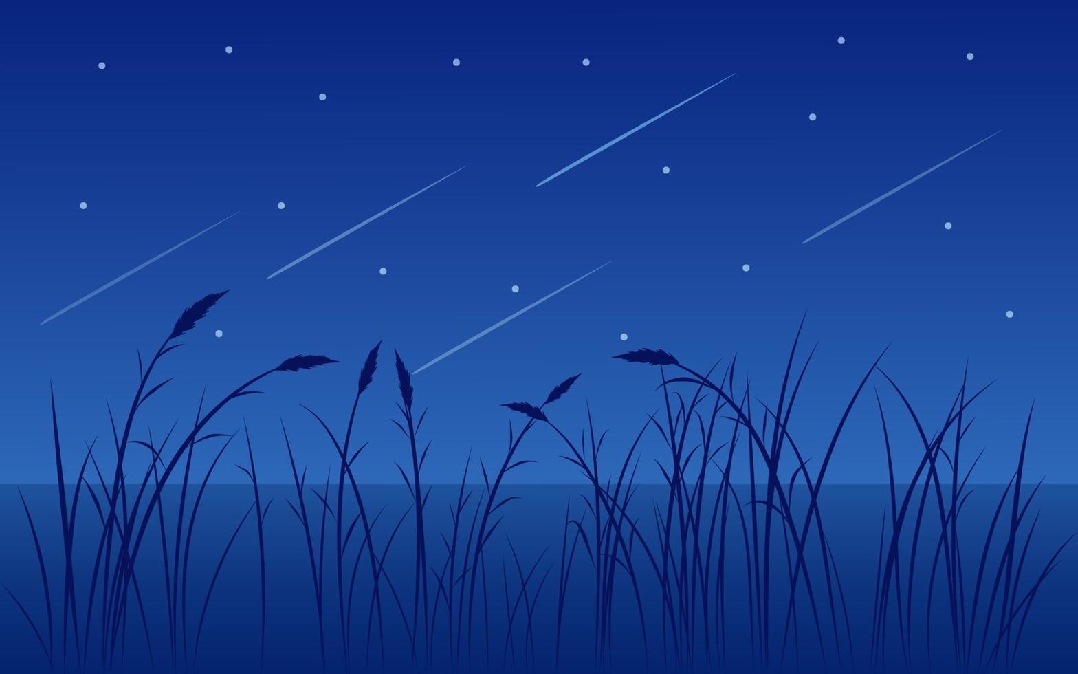 sterrennacht met meer en gras vector