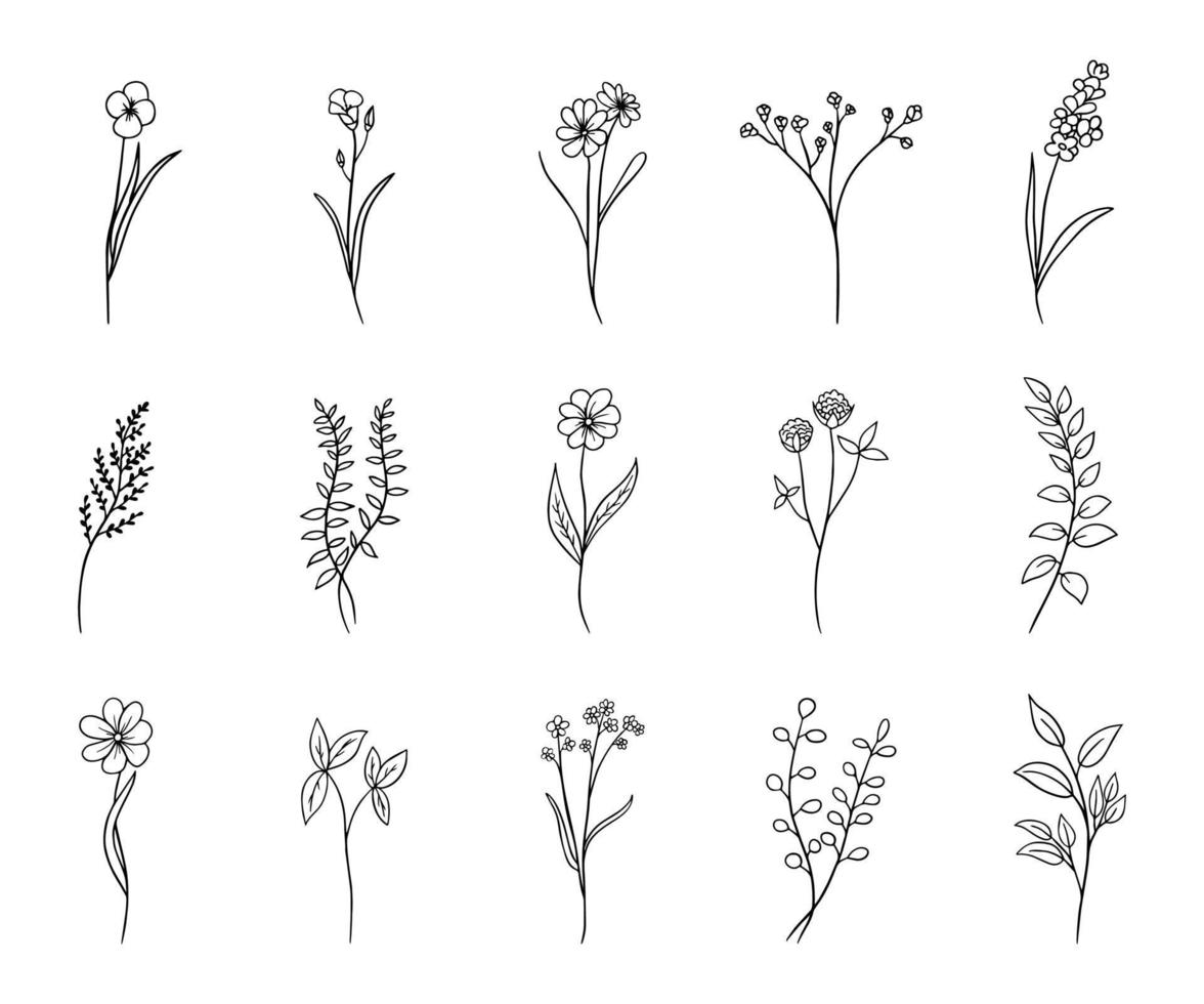 hand- getrokken bloem set, tekening bloemen, planten, botanisch set, vector illustratie