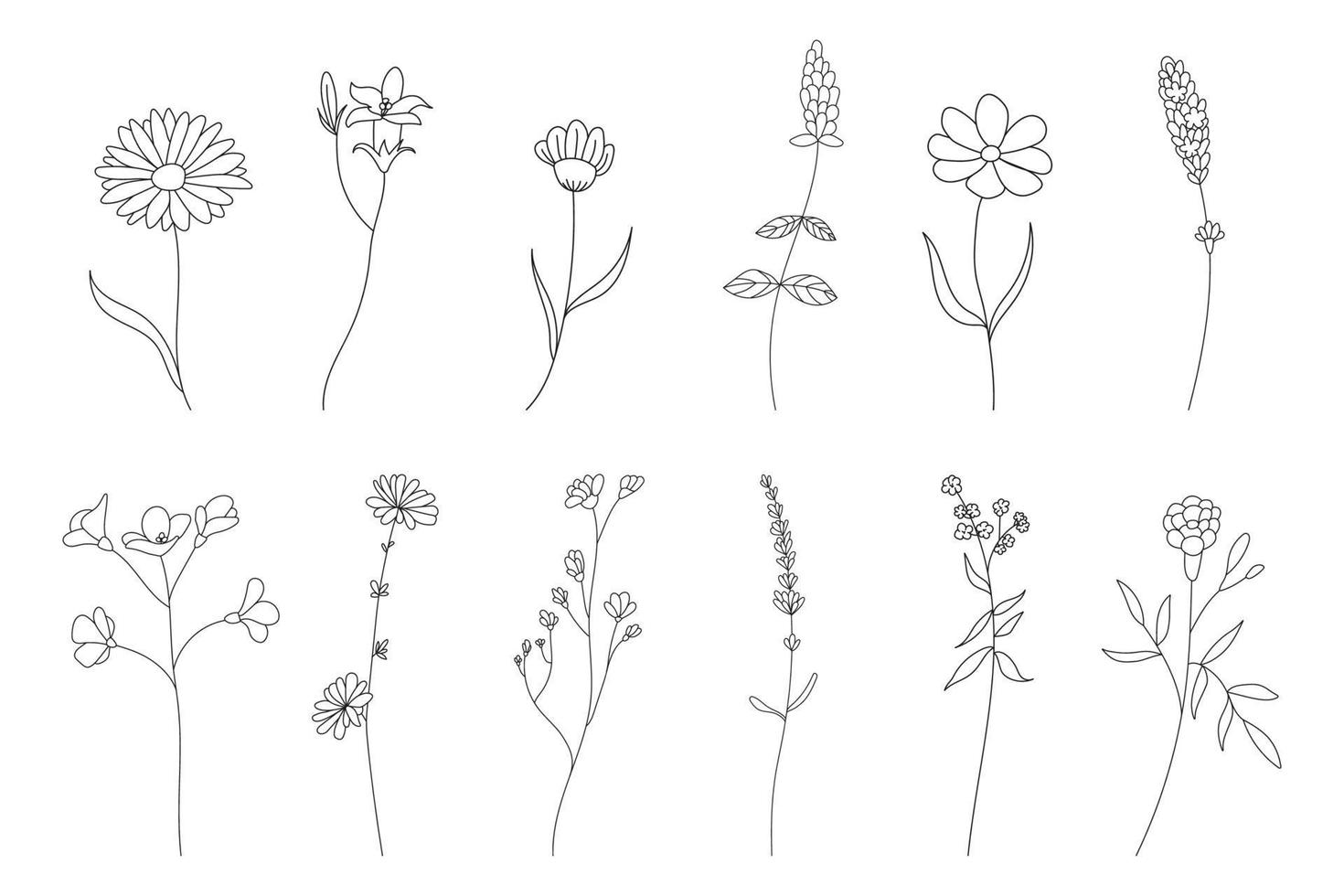 hand- getrokken bloem set, tekening bloemen, planten, vector illustratie