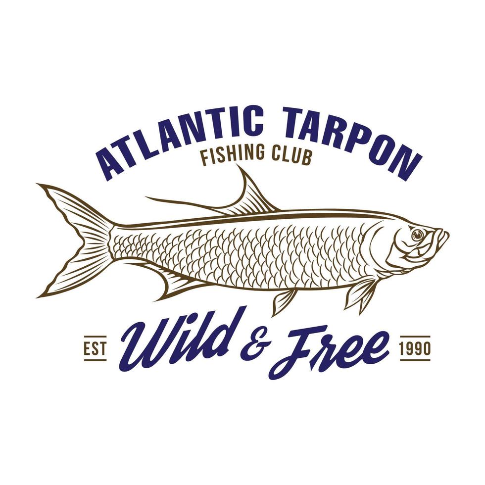 atlantic tarpon vis vector illustratie in hand- getrokken stijl, perfect voor t overhemd ontwerp en visvangst club logo ontwerp