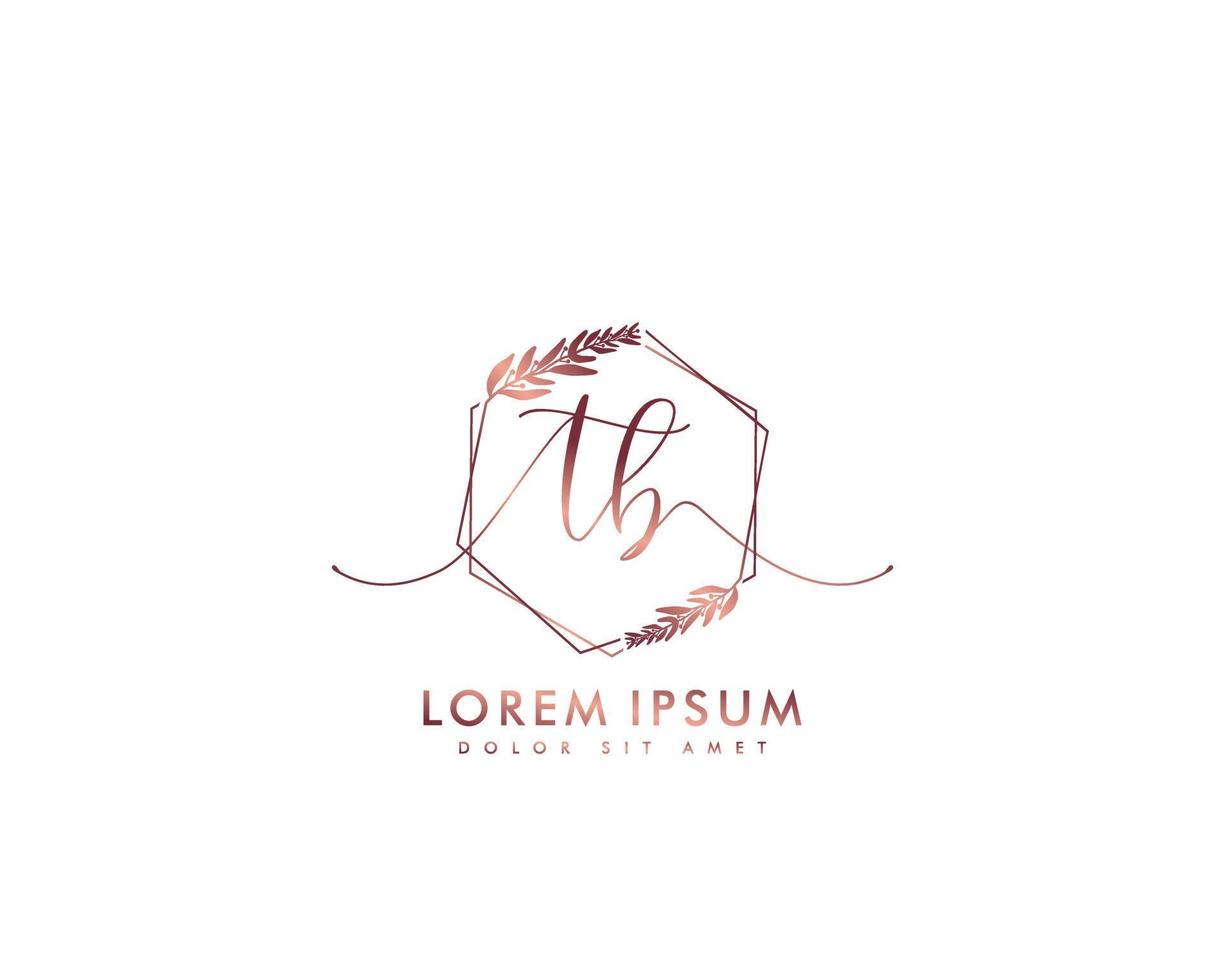 eerste brief tb vrouwelijk logo schoonheid monogram en elegant logo ontwerp, handschrift logo van eerste handtekening, bruiloft, mode, bloemen en botanisch met creatief sjabloon vector