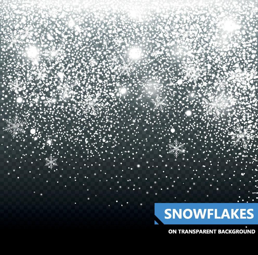 de vallend sneeuw. sneeuwval. Kerstmis sneeuwvlok vector illustratie