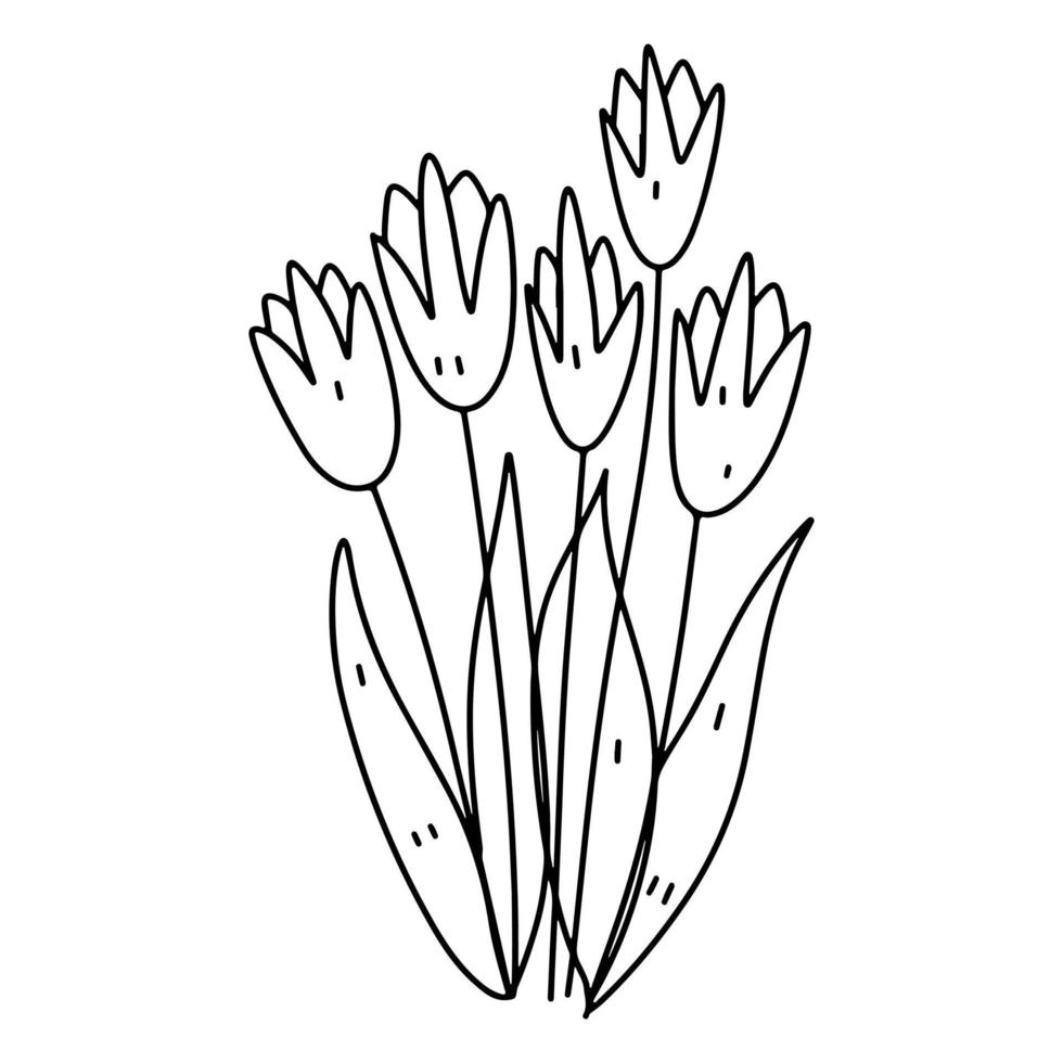 tulpen in hand- getrokken tekening stijl. zwart schets bloem Aan een wit achtergrond. vector illustratie. kleur bladzijde