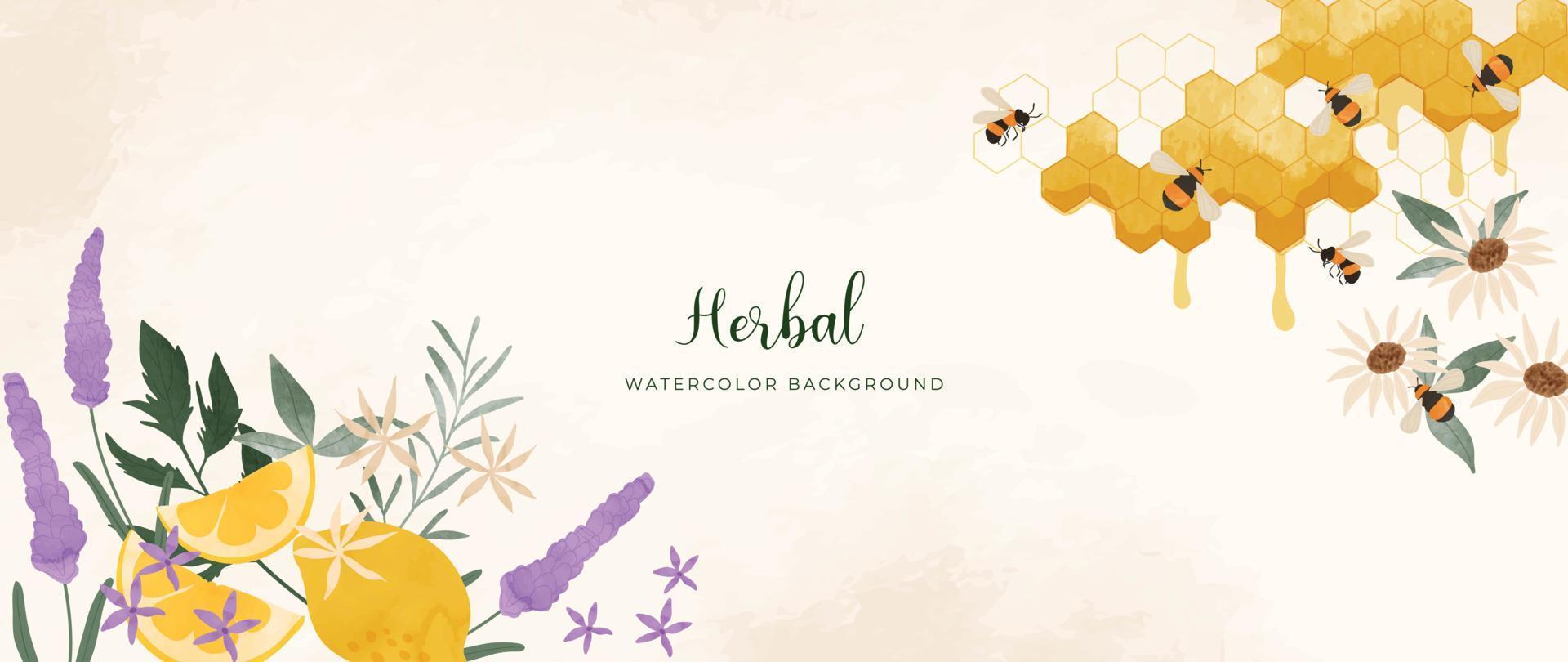 botanisch kruiden waterverf achtergrond vector. vers aromatisch lavendel, bloemen, honingraat, bijen, citroen. natuurlijk tuin bloemen ontwerp voor behang, omslag, reclame, gezondheidszorg Product, cosmetica. vector