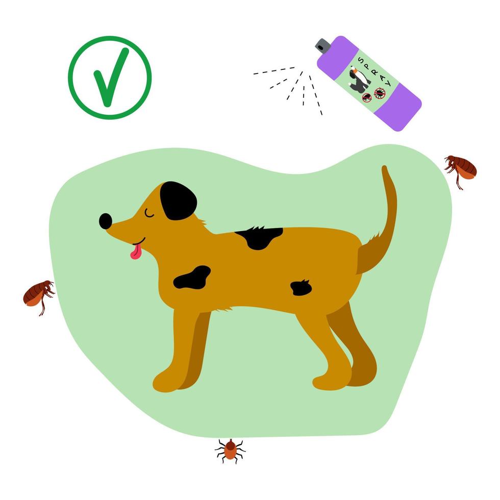 Kruis aan en vlo benodigdheden. hond behandeld met vlo spuiten. vlo en Kruis aan spuiten. bescherming van dieren van insecten in zomer. bescherming tegen ectoparasieten. vector