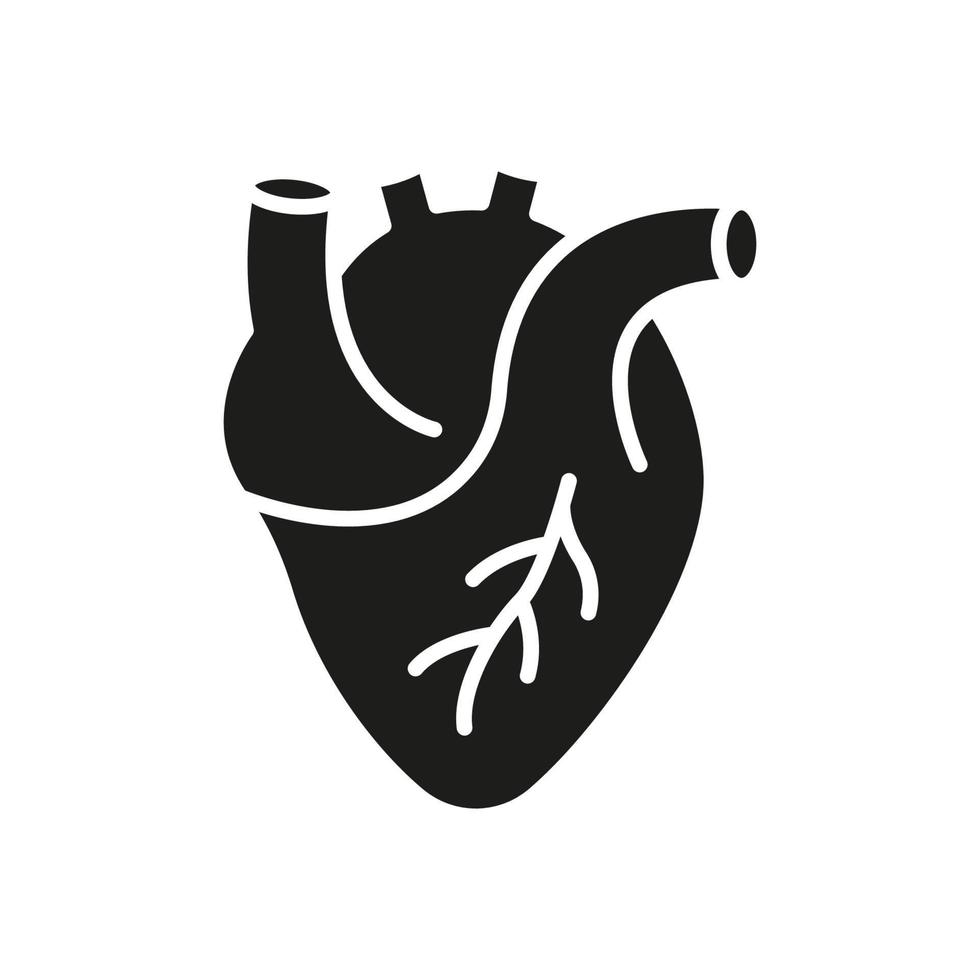 menselijk hart silhouet icoon. medisch cardiologie glyph symbool. anatomie van gezond cardiovasculair orgaan icoon. hart- spier teken. geïsoleerd vector illustratie.
