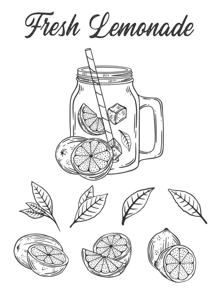 wijnoogst limonade schetsen of vector hand- getrokken illustratie vector