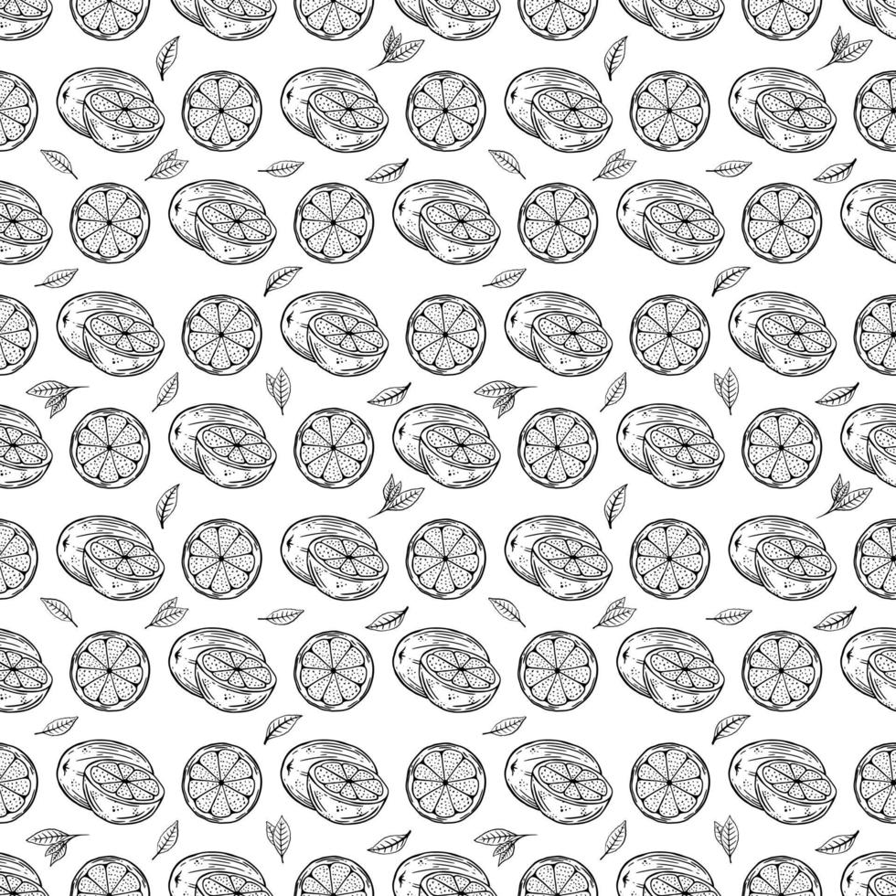 tropisch naadloos patroon met geel citroenen en citroen plakjes hand- trek illustratie vector