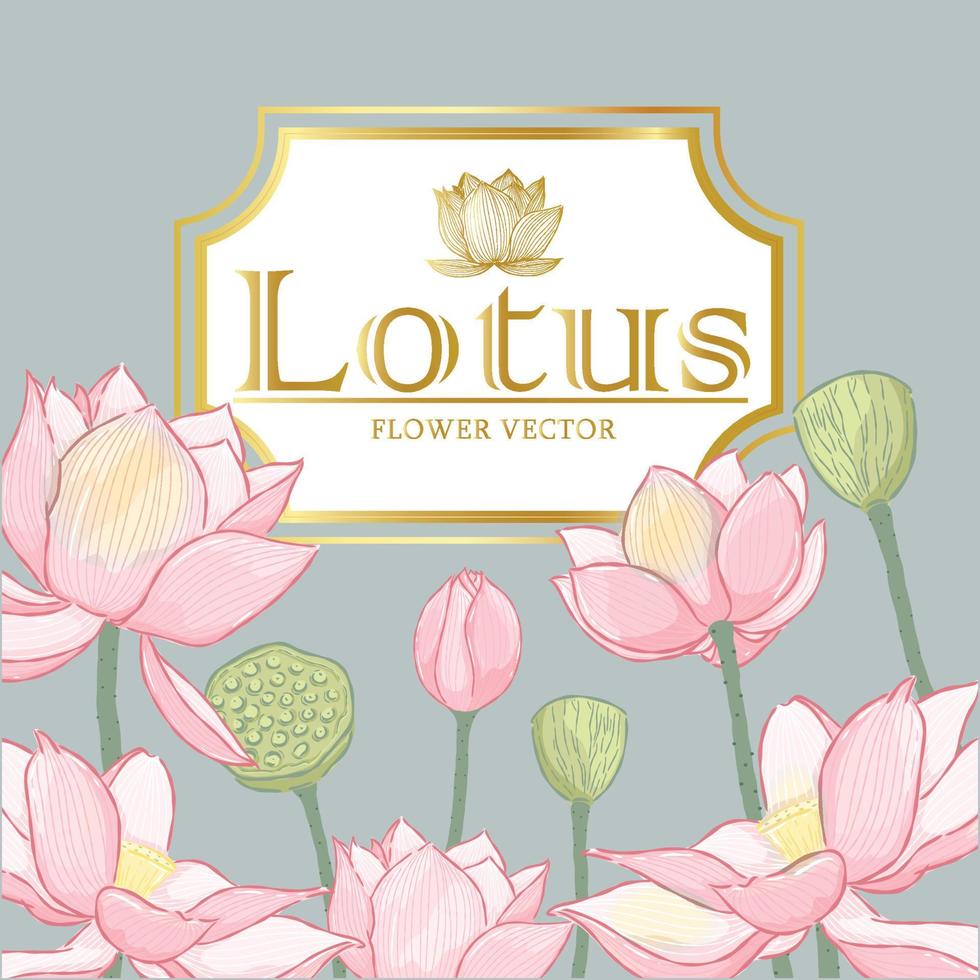 vector hand- getrokken lotus bloem en goud kader