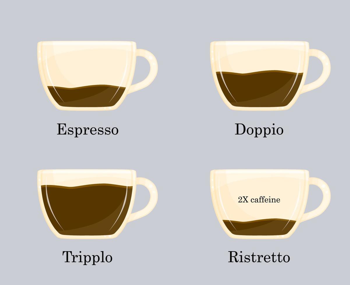 vector illustratie van koffie recept, types van espresso, koffie winkel illustratie