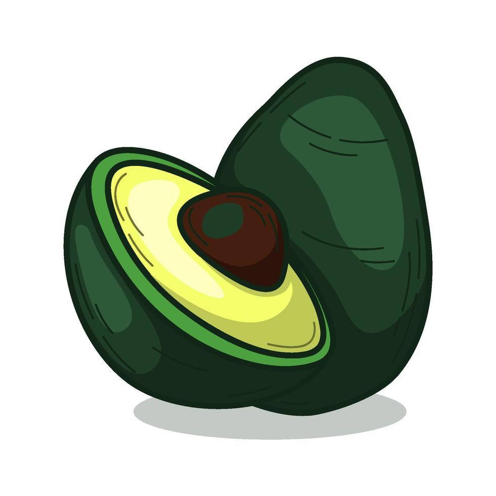 hand- getrokken tropisch avocado fruit vector