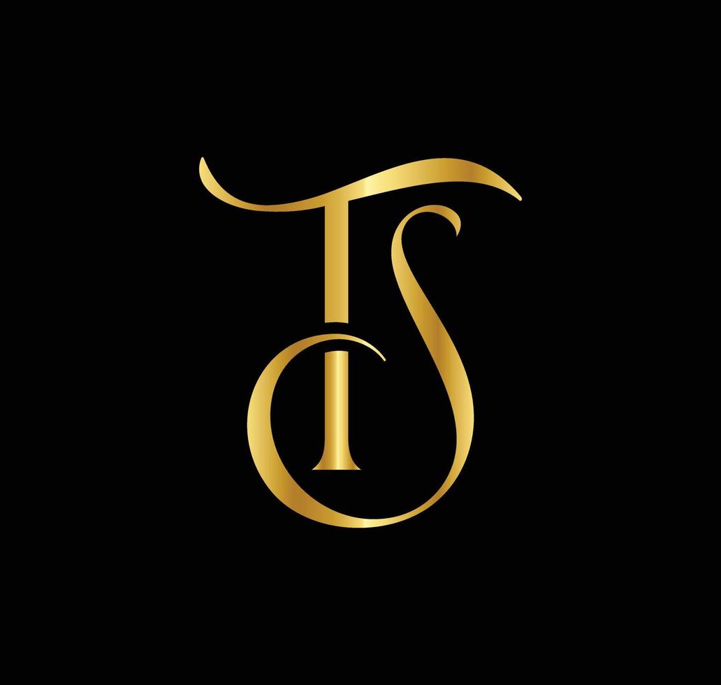 brief ts logo vector, luxe monogram concepten vector