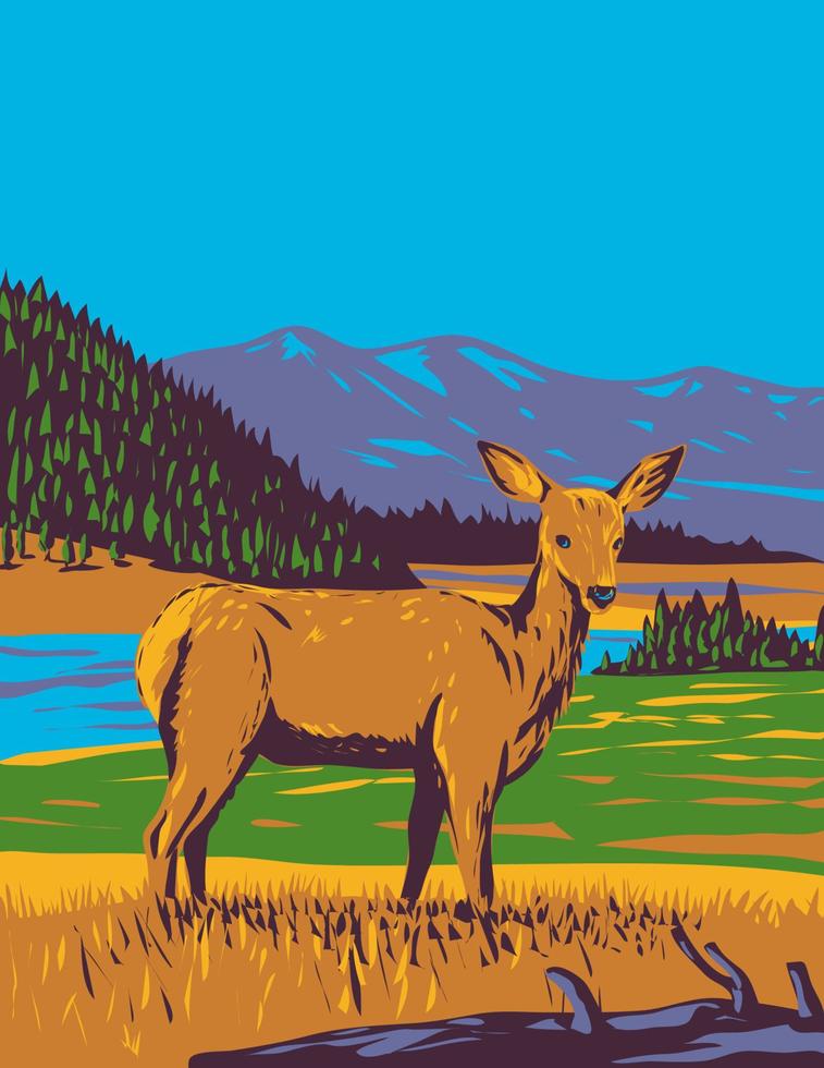 muilezel hert odocoileus hemionus in yellowstone nationaal park Wyoming wpa poster kunst vector