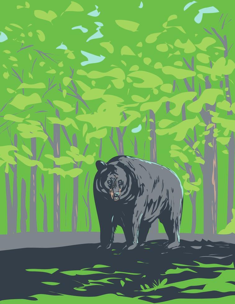 Amerikaans zwart beer in shenandoah nationaal park Virginia wpa poster kunst vector