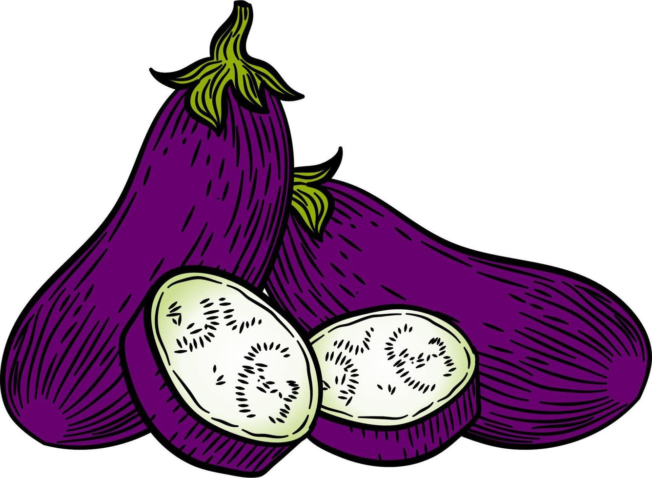 hand- getrokken schetsen geheel aubergines samenstelling met bladeren. illustratie geïsoleerd Aan wit achtergrond. boerderij vers ecologisch groenten kunstwerk. vector