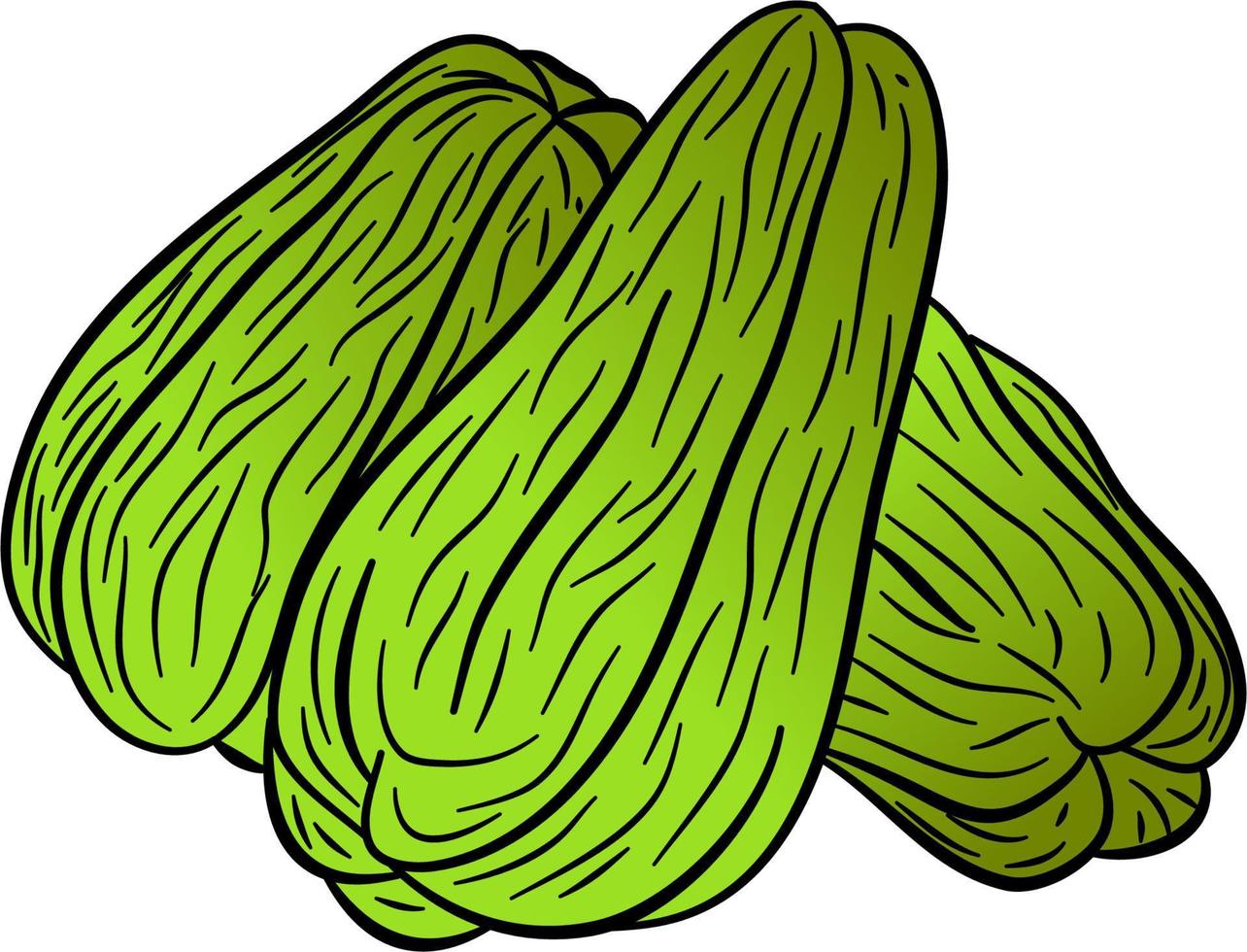 chayote hand- getrokken. plantkunde vector illustratie. tekening van gezond voedingsstof voedsel. chayote gravure schetsen etsen lijn. biologisch super voedsel veganistisch ingrediënt