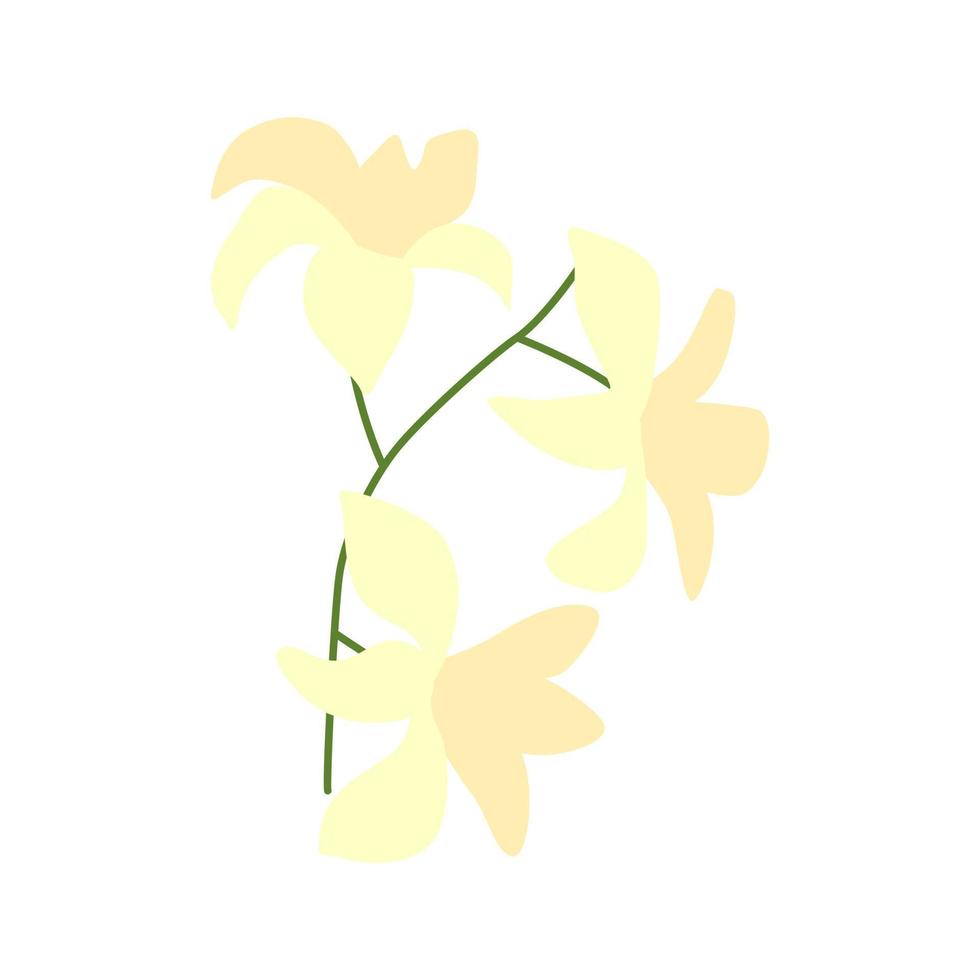 mooi bloem geïsoleerd vector