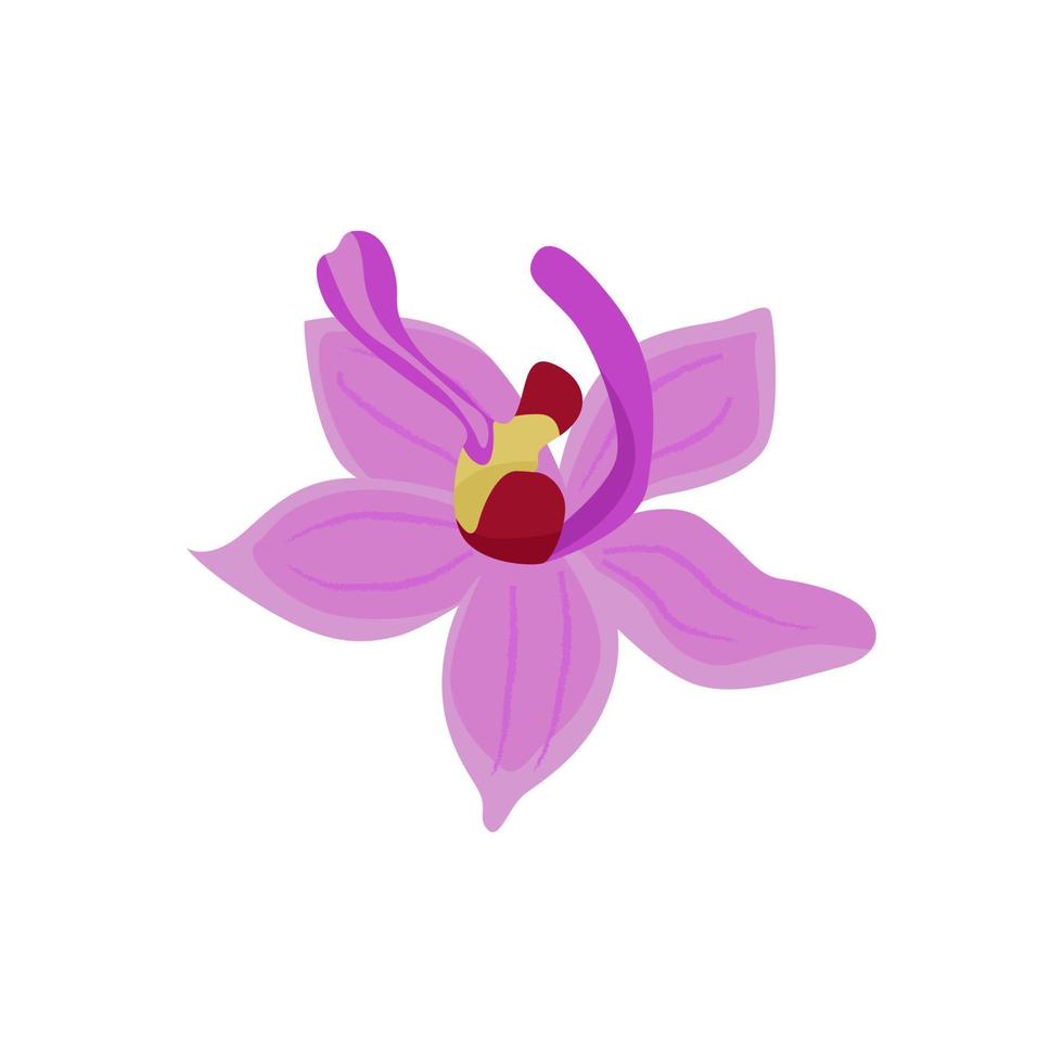 Purper orchidee bloem icoon vector