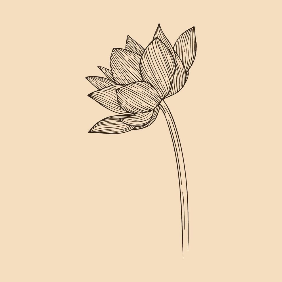 lotus bloem vector illustratie met lijn kunst