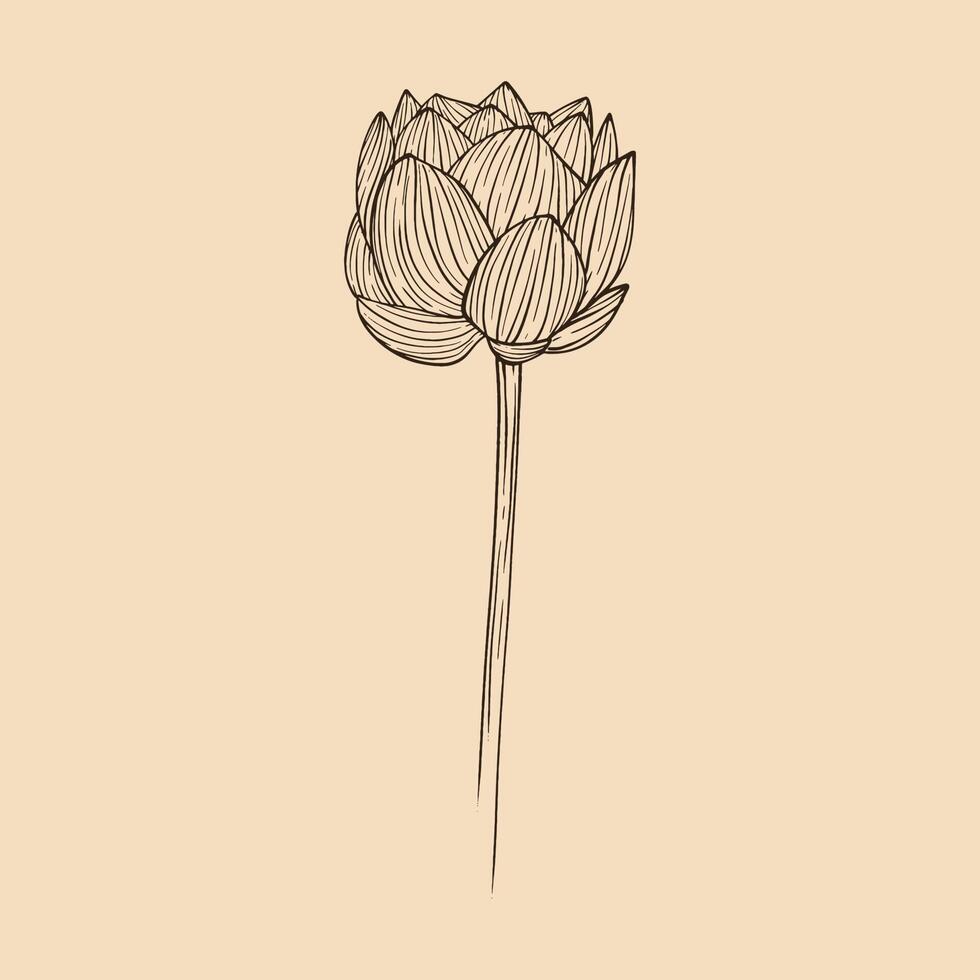 lotus bloem vector illustratie met lijn kunst