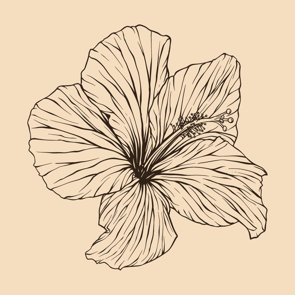 hibiscus bloem vector illustratie met lijn kunst