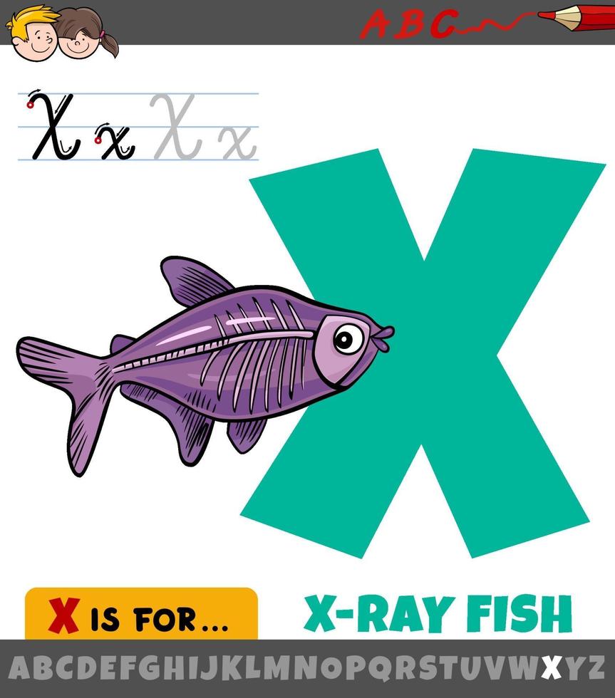 letter x uit alfabet met cartoon x-ray vis vector