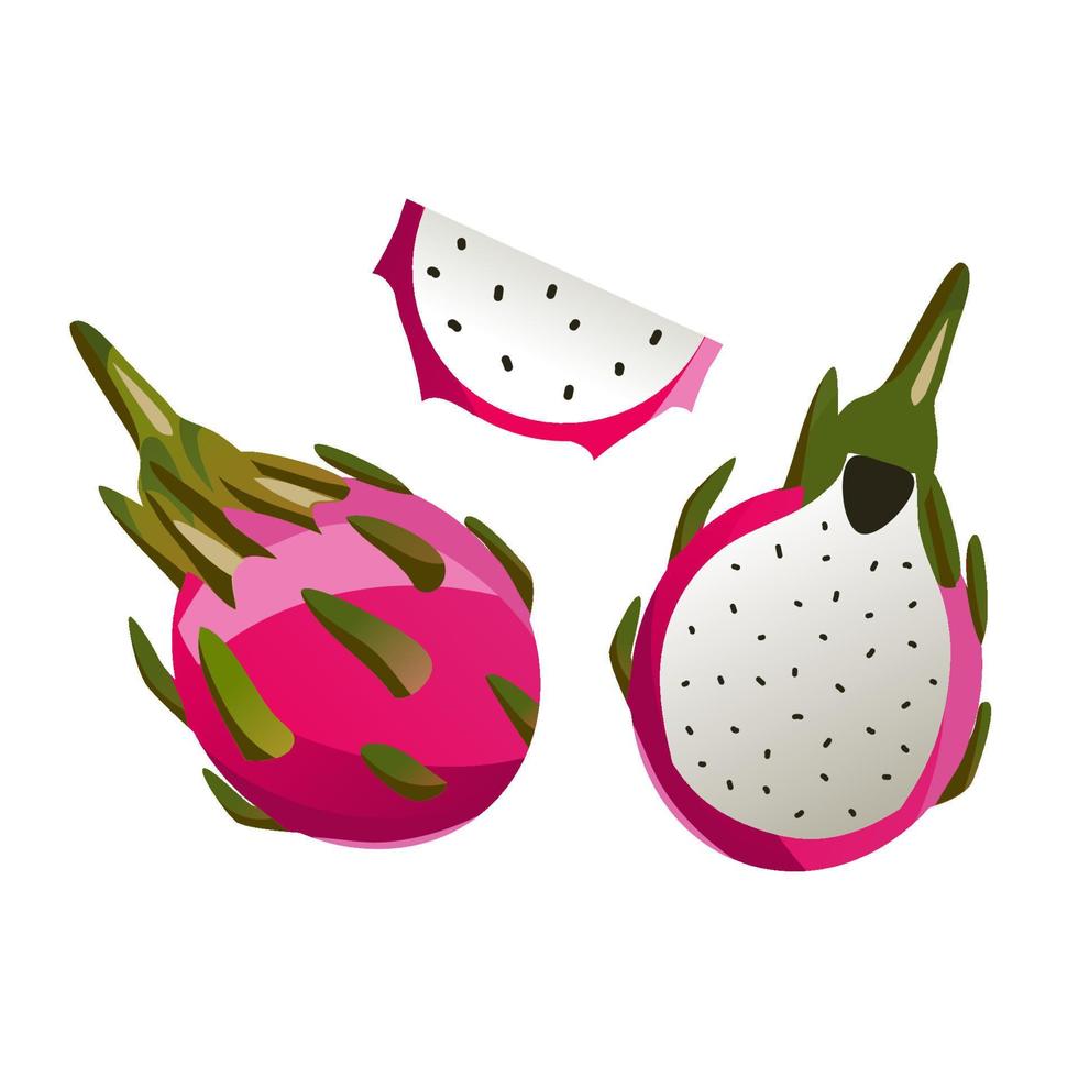 draak fruit geïsoleerd Aan een wit achtergrond. reeks realistisch fruit. macro icoon sappig pitahaya en plakjes. exotisch zoet vruchten. vector