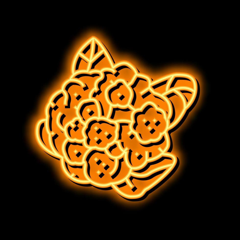 bloemkool kool neon gloed icoon illustratie vector