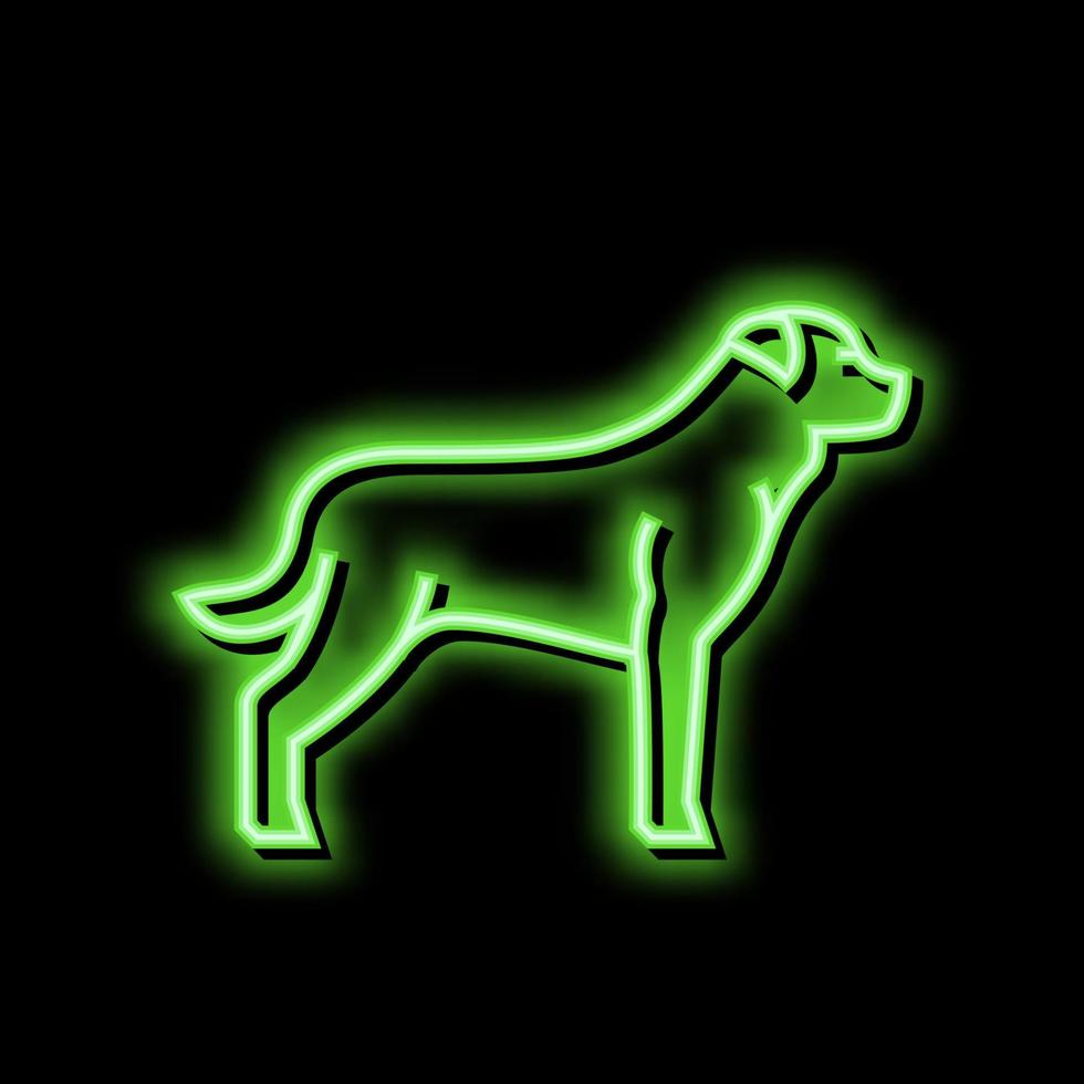 rottweiler hond neon gloed icoon illustratie vector