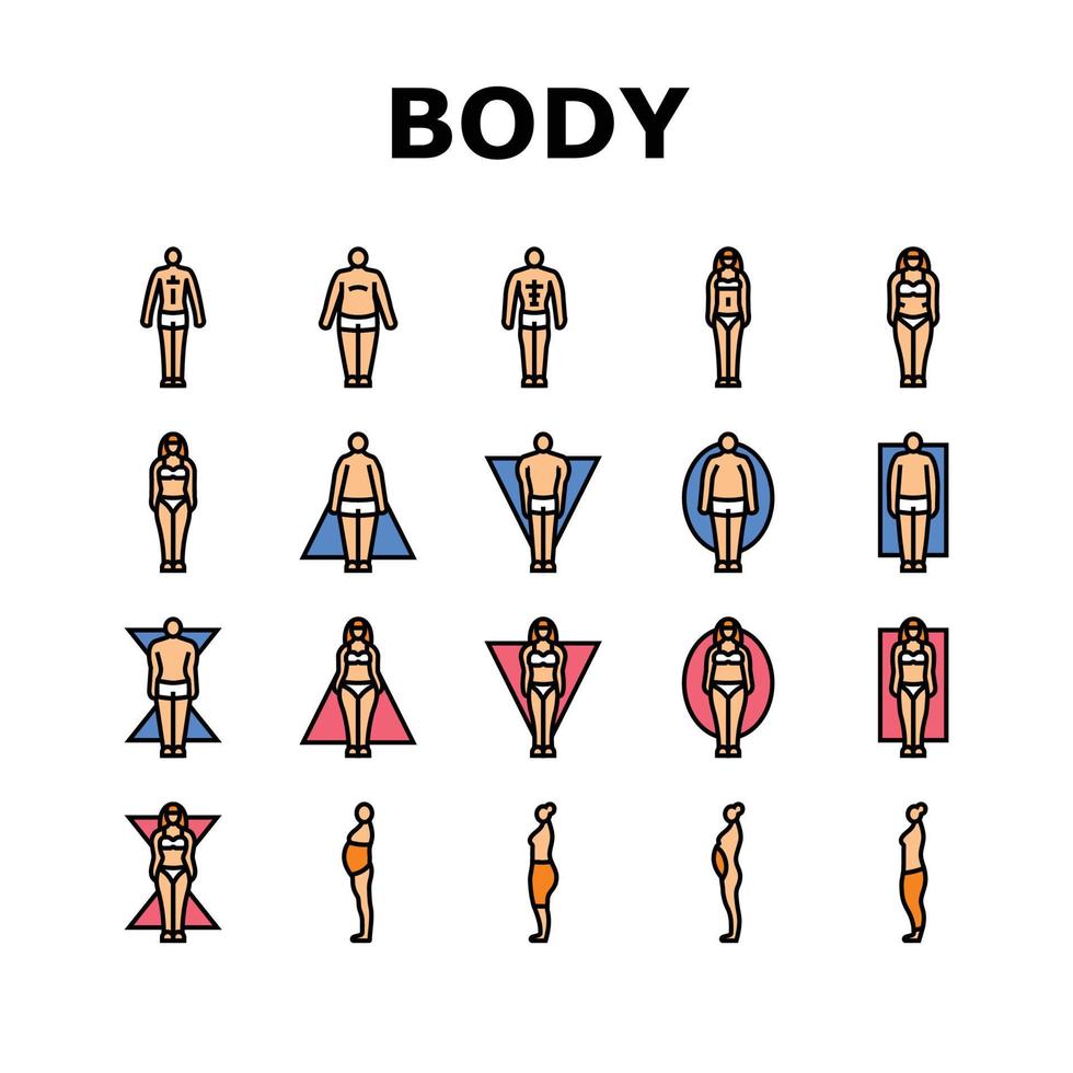 lichaam menselijk anatomie figuur pictogrammen reeks vector