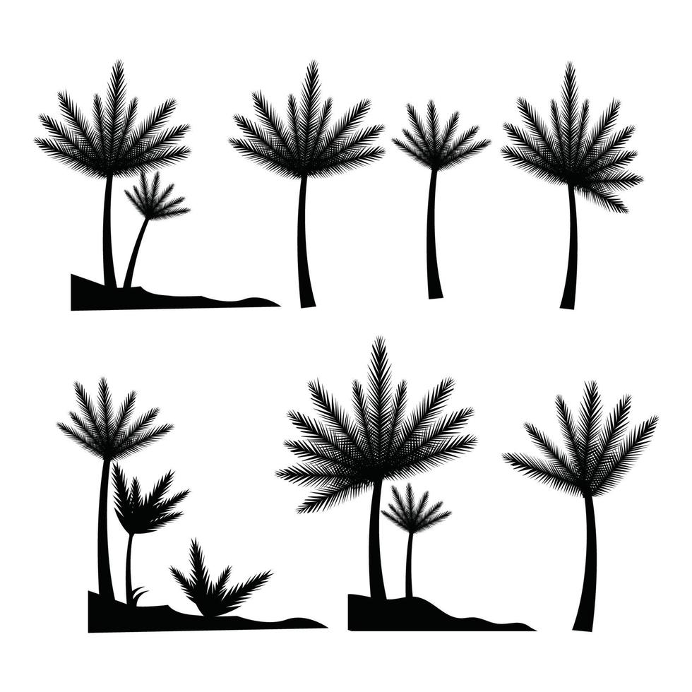 reeks van hand- getrokken palm boom bladeren vector, zomer palm strand boom fabriek tropisch bomen, natuur bladeren silhouet voor zomer boom grafisch symbool, icoon voor t-shirt, poster, banier, ontwerp elementen vector