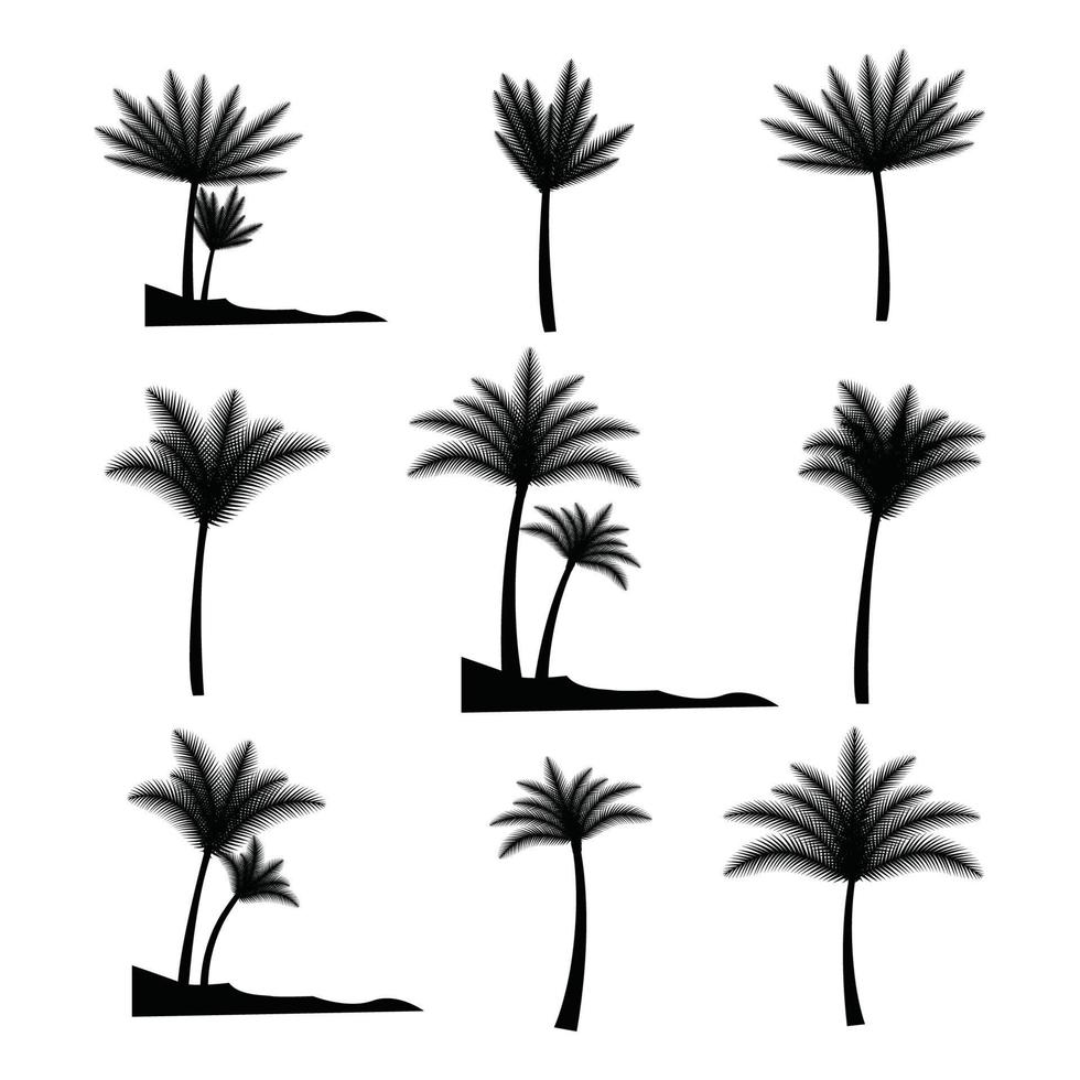 reeks van hand- getrokken palm boom bladeren vector, zomer palm strand boom fabriek tropisch bomen, natuur bladeren silhouet voor zomer boom grafisch symbool, icoon voor t-shirt, poster, banier, ontwerp elementen vector