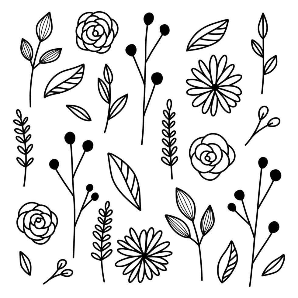 tekening planten verzameling. lijn kunst. hand- getrokken bloemen, takken en bladeren. gemakkelijk tekening. kleur bladzijde. zwart en wit vector illustratie.