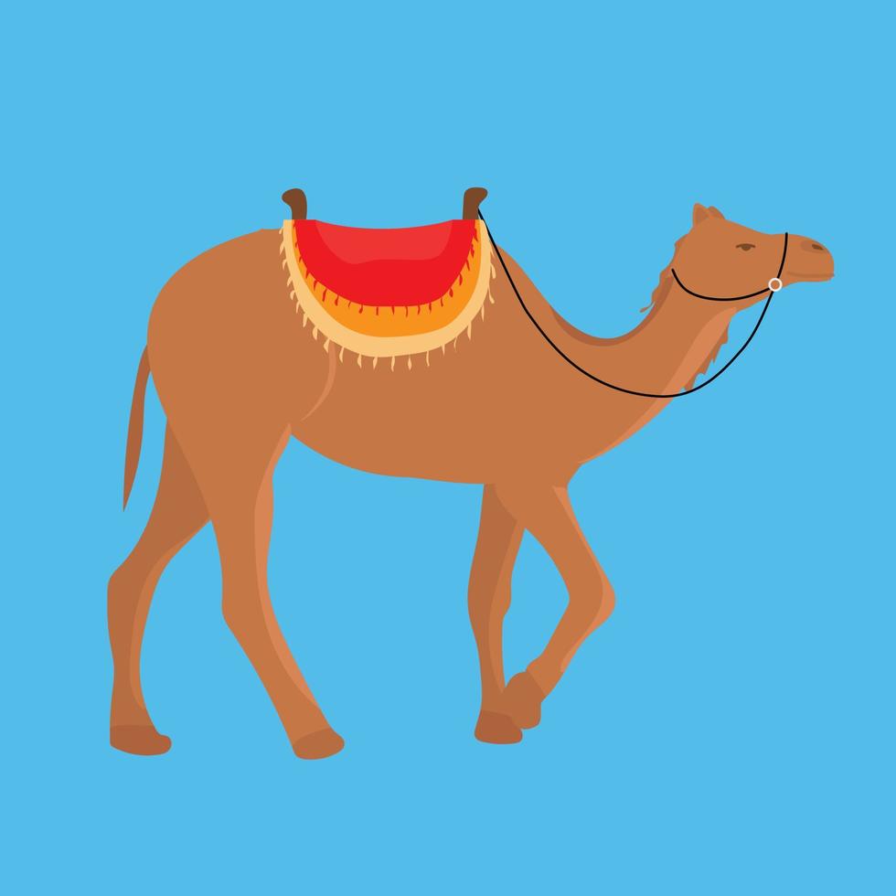 kameel geïsoleerd. vector illustratie. woestijn dier.