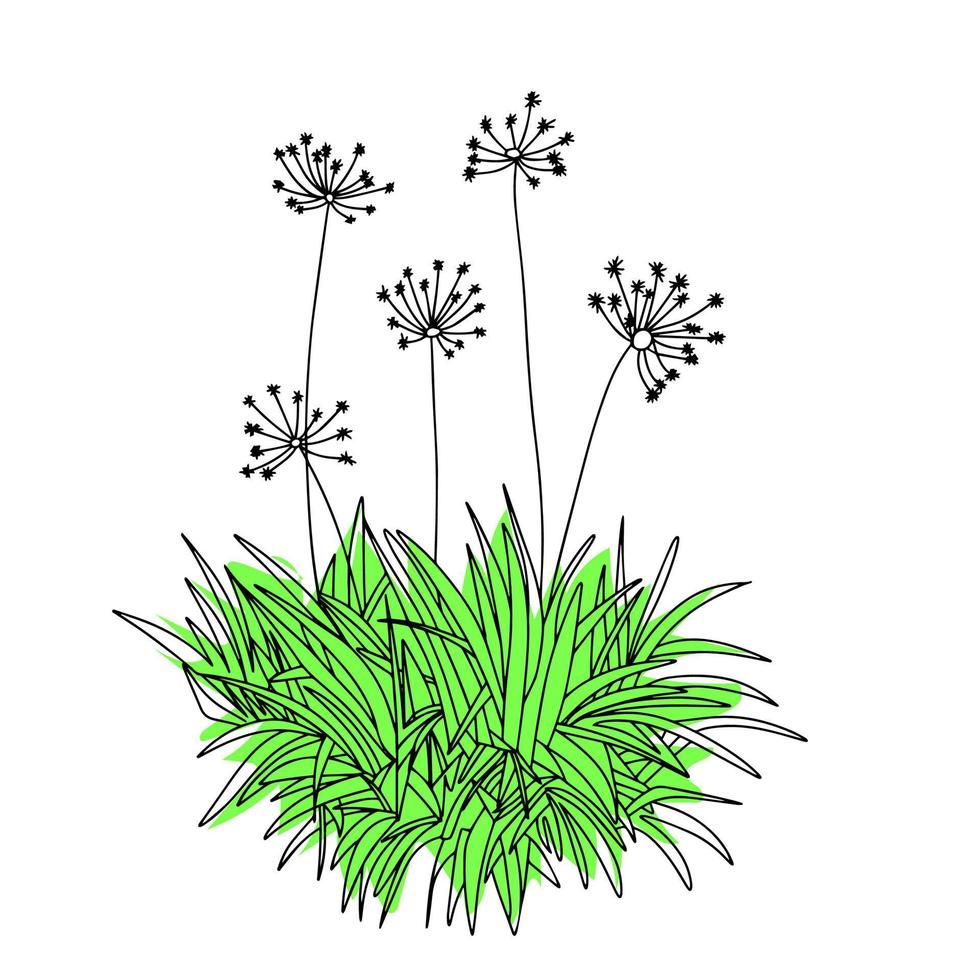 schets abstract bloem. tekening bloem met kleur. vector illustratie