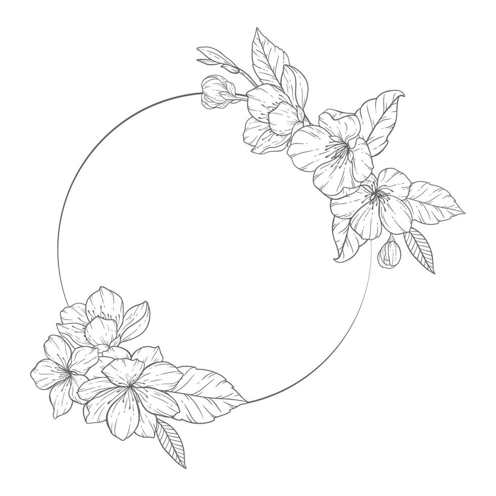 bloemen lijn kunst, sakura bloem schets illustratie set. hand- geschilderd tekening bloemen. perfect voor bruiloft uitnodigingen, bruids douche en bloemen groet kaarten. zwart en wit stencil bloemen geïsoleerd vector