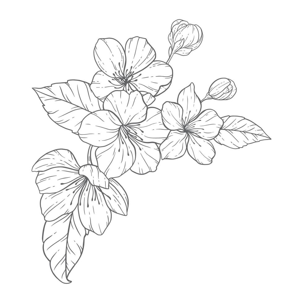 bloemen lijn kunst, sakura bloem schets illustratie set. hand- geschilderd tekening bloemen. perfect voor bruiloft uitnodigingen, bruids douche en bloemen groet kaarten. zwart en wit stencil bloemen geïsoleerd vector