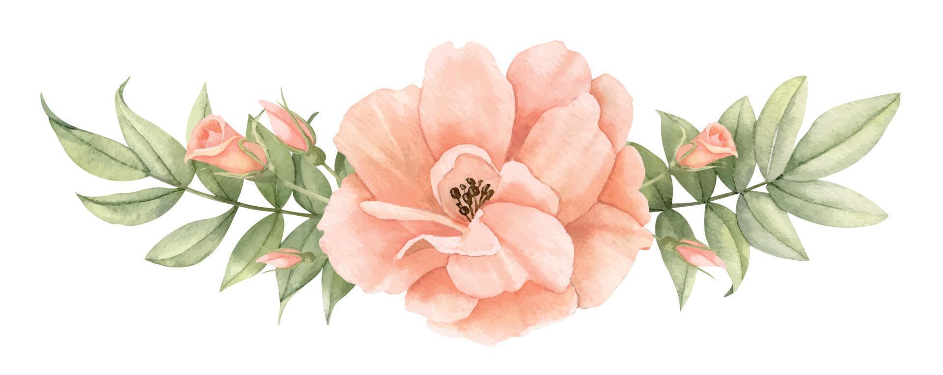 waterverf roze roos bloem met groen bladeren. hand- getrokken illustratie van bloemen boeket in pastel romig kleuren Aan geïsoleerd achtergrond. tekening van delicaat planten voor bruiloft uitnodigingen of kaarten vector