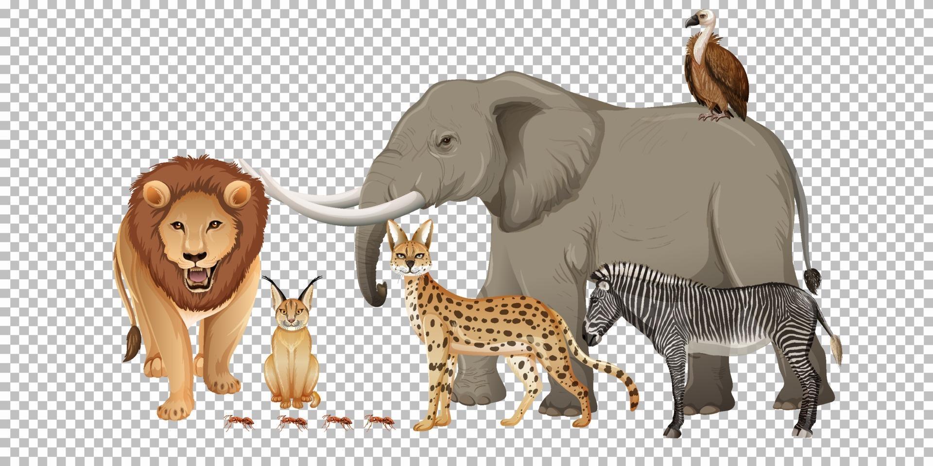 groep wilde Afrikaanse dieren vector