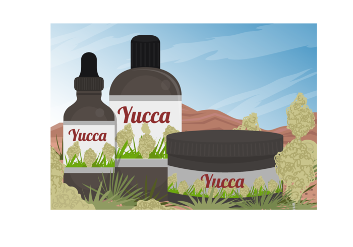 Yucca Scène En Yucca Geneeskunde Extract Van Vector